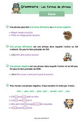 Les formes de phrase - Cours, Leçon de grammaire : Primaire 2 - PDF à imprimer