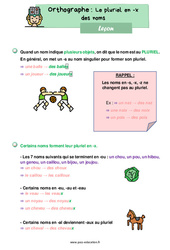 Le pluriel en - x des noms - Cours, Leçon d'orthographe : Primaire 2 - PDF à imprimer