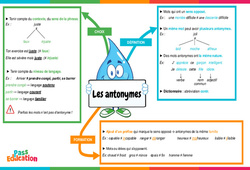 Les antonymes - Vidéo pédagogique interactive : Primaire 3, 4, 5, 6