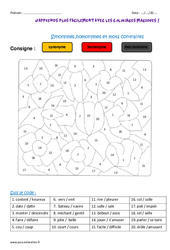 Synonymes - Homonymes - Mots contraires - Coloriage magique : Primaire 3 - PDF à imprimer