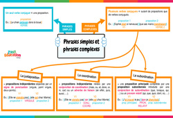 Phrases simples et phrases complexes - Vidéo pédagogique interactive + Carte mentale -  : Secondaire 1, 2, 3 - PDF à imprimer