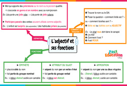 L’adjectif et ses fonctions - Vidéo pédagogique interactive + Carte mentale -  : Secondaire 1, 2, 3 - PDF à imprimer
