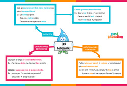 Homonymes - Carte mentale : Primaire 4 - PDF à imprimer
