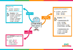Le pluriel des noms - Pluriel en - x (partie 2) - Carte mentale : Primaire 6 - PDF à imprimer