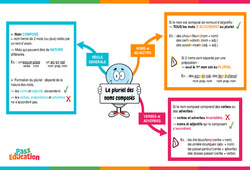 Pluriel des noms composés - Carte mentale : Primaire 6 - PDF à imprimer