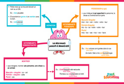 Déterminants possessifs et démonstratifs - Carte mentale : Primaire 6 - PDF à imprimer
