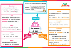 Nature des mots - Carte mentale : Primaire 6 - PDF à imprimer