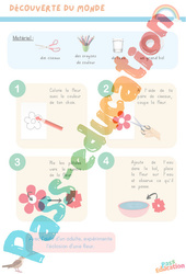 Eclosion d’une fleur - Réalisation - Printemps - Découverte du monde en maternelle : Maternelle 1 - PDF à imprimer