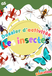 Les insectes - Fichier d'activités : Maternelle 2 - PDF à imprimer