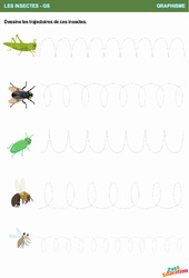 Les trajectoires de ces insectes - Graphisme : Maternelle 2 - PDF à imprimer