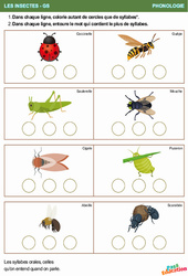 Syllabes & Insectes - Phonologie : Maternelle 2 - PDF à imprimer