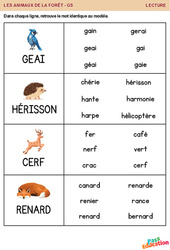 Animaux de la forêt - Lecture : Maternelle 1, 2 - PDF à imprimer