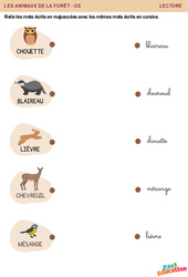 Majuscules et cursive - Animaux de la forêt - Lecture : Maternelle 1, 2 - PDF à imprimer