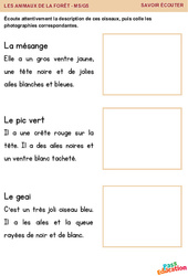 La mésange, le pic vert et le geai - Savoir écouter en maternelle : Maternelle 1, 2 - PDF à imprimer