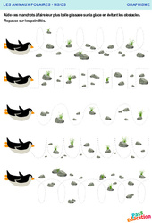 La plus belle glissade des manchots - Animaux polaires - Graphisme : Maternelle 1, 2 - PDF à imprimer