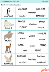 Animaux polaires - Lecture : Maternelle 1 - PDF à imprimer