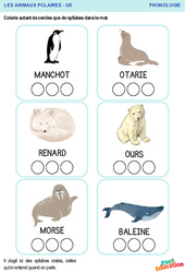 Animaux polaires - Phonologie : Maternelle 2 - PDF à imprimer
