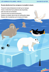 Animaux polaires - Savoir écouter en maternelle : Maternelle 1, 2 - PDF à imprimer