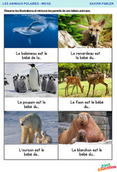 Les parents de ces bébés animaux - Savoir parler : Maternelle 1, 2 - PDF à imprimer