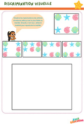 Coquilles et Etoiles de mer - Discrimination visuelle : Maternelle 2 - PDF à imprimer
