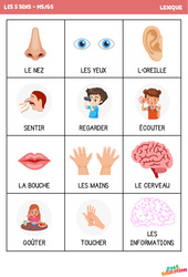 Les cinq sens - Lexique : Maternelle 1, 2 - PDF à imprimer
