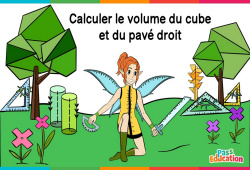 Calculer le volume du cube et du pavé droit - Vidéo La Fée des Maths : Primaire 3, 4, 5, 6