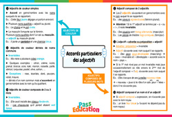 Accords particuliers des adjectifs - Carte mentale : Secondaire 2 - PDF à imprimer