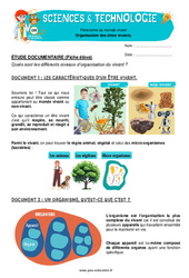 Organisation des êtres vivants - Exercices - Edith Eprouvette : Primaire 4 - PDF à imprimer