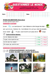L’air et le vent - Exercices - Apis & ses amis : Primaire 1 - PDF à imprimer