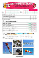 L’air et le vent - Examen Evaluation - Apis & ses amis : Primaire 1 - PDF à imprimer
