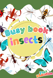 Insects - Fichier d'activités - Anglais : Primaire 3 - PDF à imprimer