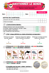 Régimes et réseaux alimentaires - Examen Evaluation - Apis & ses amis : Primaire 1 - PDF à imprimer