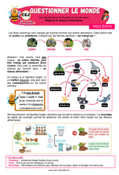 Régimes et réseaux alimentaires - Cours, Leçon - Apis & ses amis : Primaire 3 - PDF à imprimer