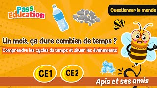 Un mois, ça dure combien de temps ? - Vidéo pédagogique - Apis & ses amis : Primaire 2, 3