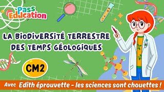 La biodiversité terrestre des temps géologiques - Vidéo pédagogique - Edith Eprouvette : Primaire 5
