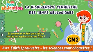 Comment on fait pour placer toutes les espèces sur une frise - biodiversité terrestre des temps géologiques - Vidéo pédagogique - Edith Eprouvette : Primaire 5