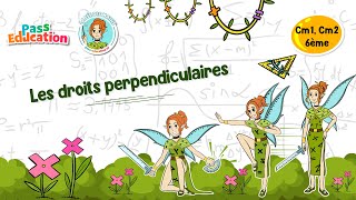 Les droites perpendiculaires - Vidéo pédagogique - La Fée des Maths : Primaire 4, 5, 6