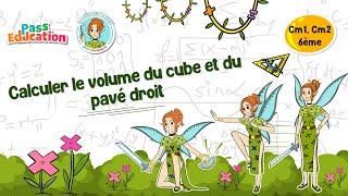 Calculer le volume du cube et du pavé droit - Vidéo pédagogique - La Fée des Maths : Primaire 4, 5, 6