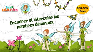 Encadrer et intercaler les nombres décimaux - Vidéo pédagogique - La Fée des Maths : Primaire 6
