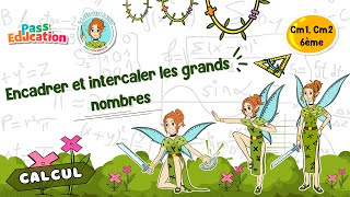 Encadrer et intercaler les grands nombres - Vidéo pédagogique - La Fée des Maths : Primaire 6