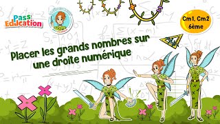 Placer les grands nombres sur une droite numérique - Vidéo pédagogique - La Fée des Maths : Primaire 6