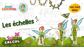 Les échelles - Vidéo pédagogique - La Fée des Maths : Primaire 4, 5, 6