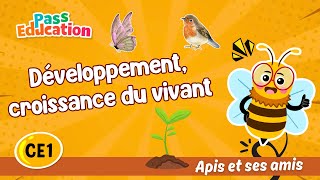 Développement, croissance du vivant - Vidéo pédagogique - Apis & ses amis : Primaire 2