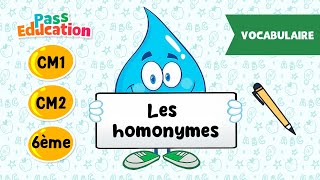 Les homonymes - Vidéo pédagogique : Primaire 4, 5, 6
