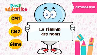 Le féminin des noms - Vidéo pédagogique : Primaire 4, 5, 6