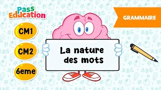 La nature des mots - Vidéo pédagogique : Primaire 4, 5, 6