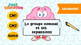 Le groupe nominal et ses expansions - Vidéo pédagogique -  : Primaire 4, 5, 6