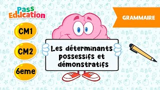 Les déterminants possessifs et démonstratifs - Vidéo pédagogique : Primaire 4, 5, 6