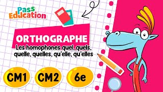 Les homophones quel, quels, quelle, quelles, .. - Vidéo pédagogique : Primaire 4, 5, 6