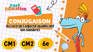 Accord de l’adjectif qualificatif (en nombre)    - Vidéo pédagogique : Primaire 4, 5, 6